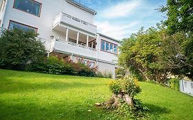 Aurora Home